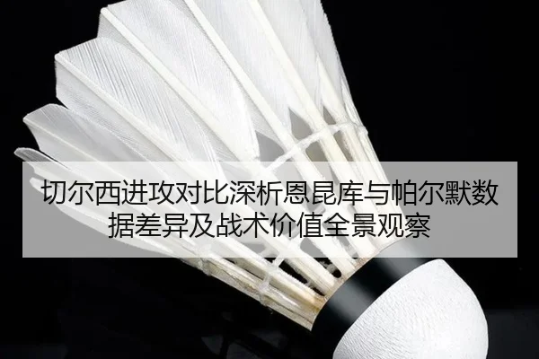 切尔西进攻对比深析恩昆库与帕尔默数据差异及战术价值全景观察