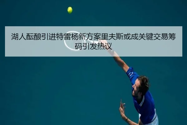 湖人酝酿引进特雷杨新方案里夫斯或成关键交易筹码引发热议